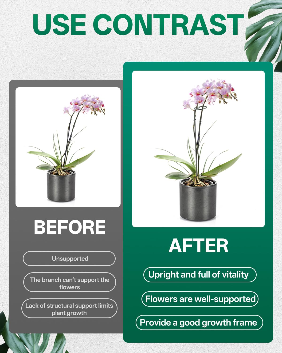Breeze Touch garden stakes show quick, easy setup beside seedlings.
