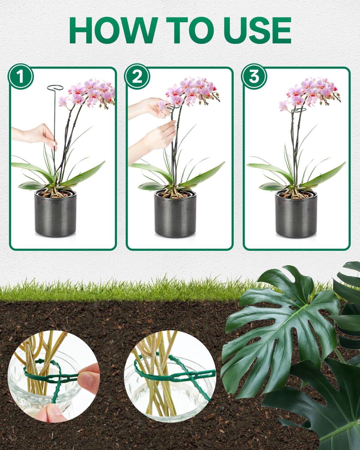 Breeze Touch plant stakes support tomato and peony stems.