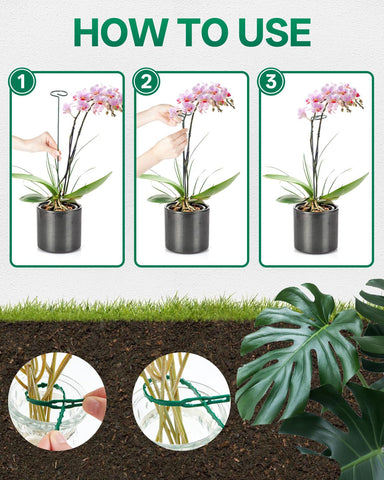 Breeze Touch plant stakes support tomato and peony stems.