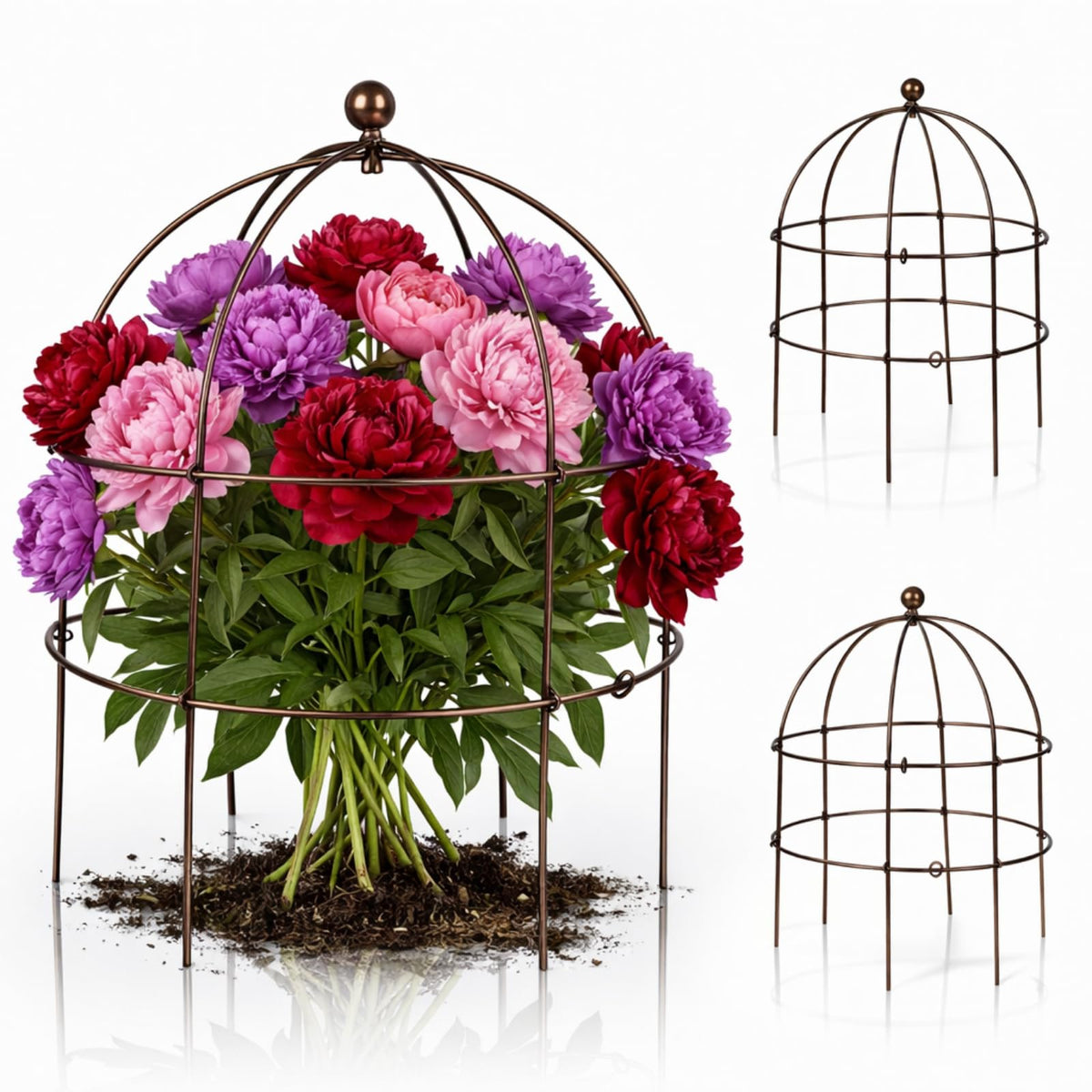 BreezeHug bird cage plant support trio guides climbing vines for peonies and roses.