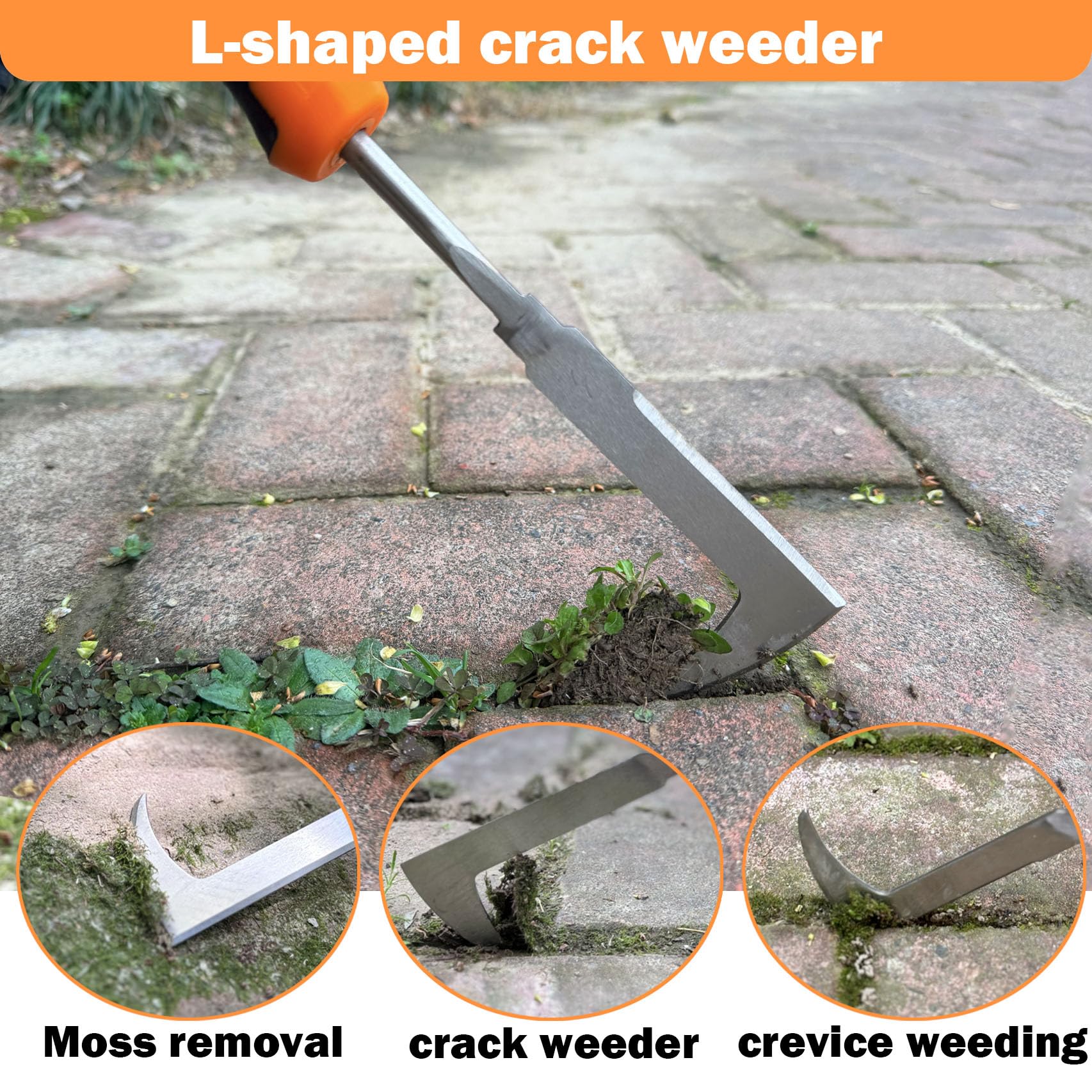 Bretreead L-shaped Crevice Weeder removes moss between cracks.