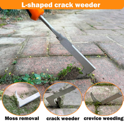 Bretreead L-shaped Crevice Weeder removes moss between cracks.