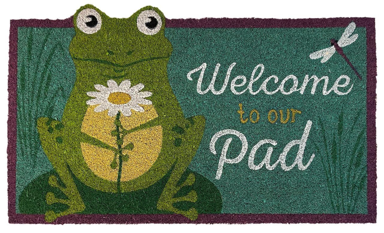 Briarwood Lane Daisy Frog Summer coir doormat front view with bright artwork, ideal for welcoming guests.