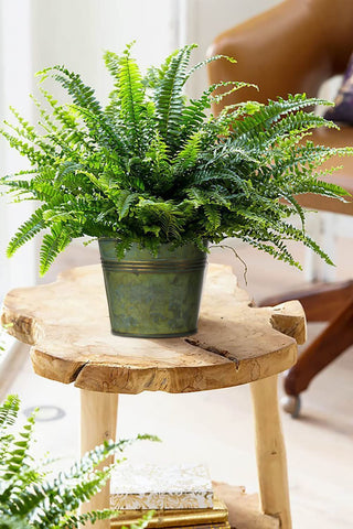 Briful bucket centerpiece ideas for weddings and events with rustic charm.