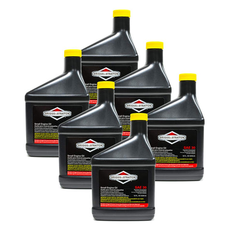 Briggs & Stratton 100005 SAE 30W oil bottle, 18 oz, pack of six, for lawn equipment lubrication.