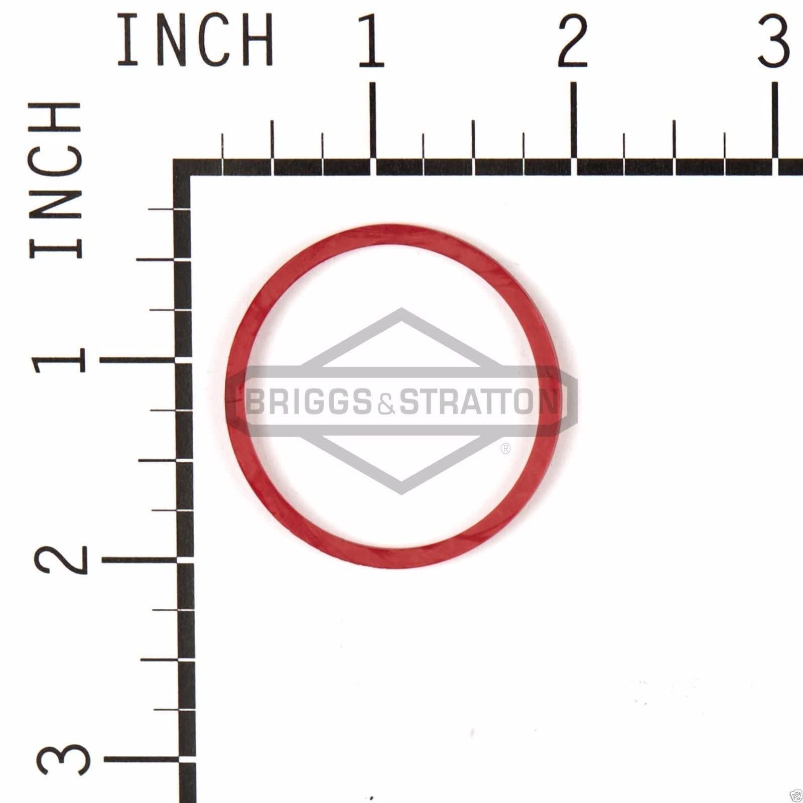 Briggs & Stratton O-ring seals close-up showing precision, OEM fit