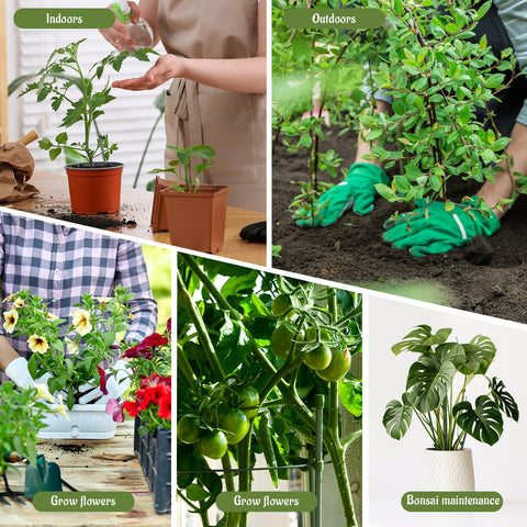 BrightRow stackable stakes in use supporting a tall Monstera plant.