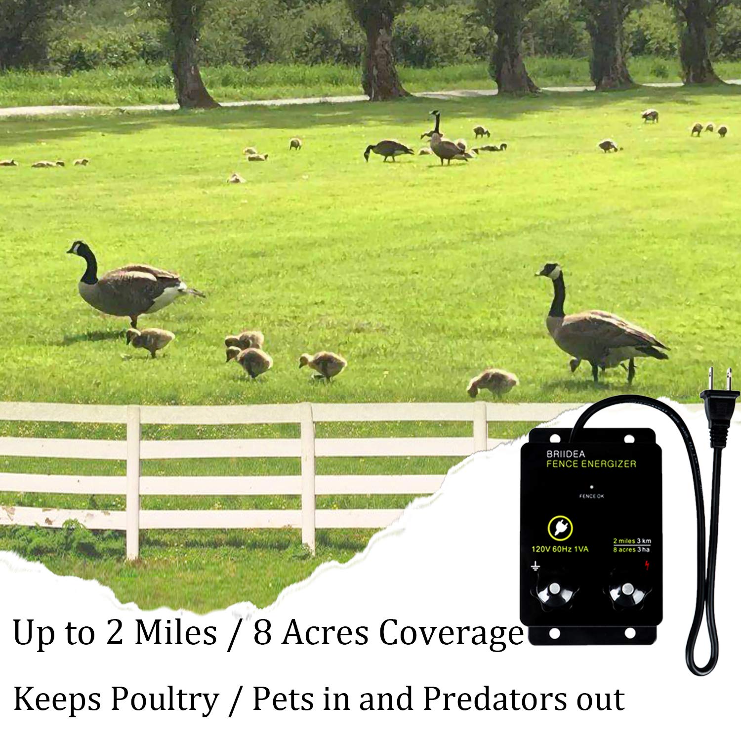 Briidea 2-Mile Energizer dual terminals enable ground and fence output connections