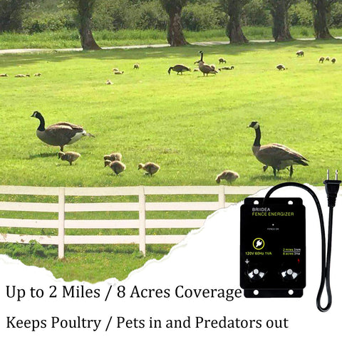 Briidea 2-Mile Energizer dual terminals enable ground and fence output connections