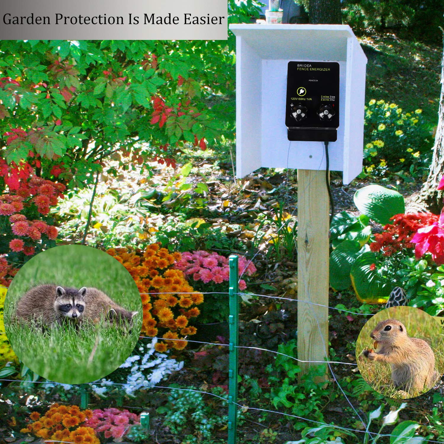 Briidea 2-Mile Energizer deters wildlife and protects pets inside the fenced area