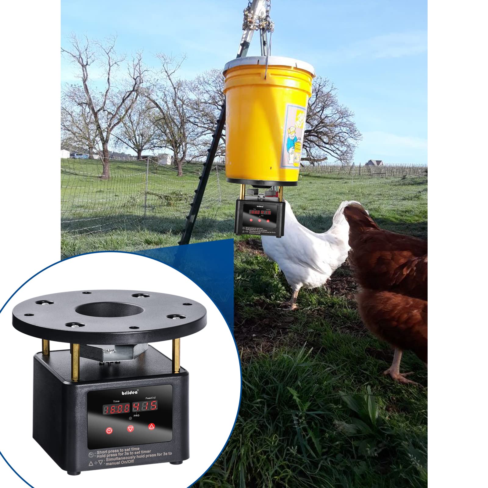 Briidea silent feeding keeps poultry calm while dispensing meals