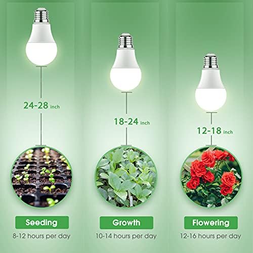 Briignite 1000 lumens LED bulb provides bright, energy-efficient plant lighting.