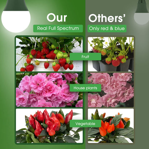 Briignite 11W bulb delivers 100W-equivalent brightness for bright indoor gardening.