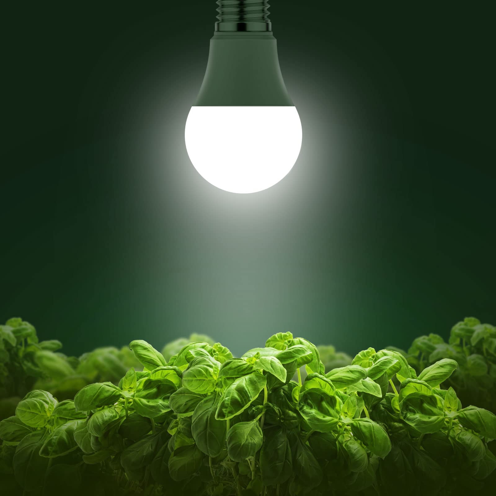 Briignite A19 base E26 compatibility for easy installation in standard fixtures.
