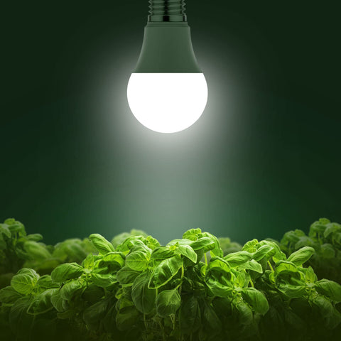 Briignite A19 base E26 compatibility for easy installation in standard fixtures.