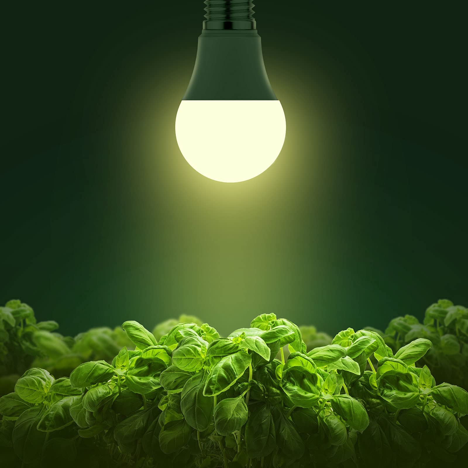 Briignite A19 LED 11W bulb delivers bright, efficient plant lighting