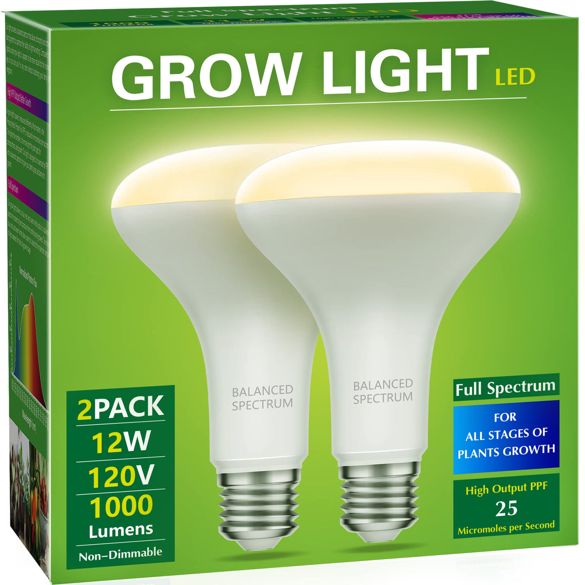 Briignite BR30 grow light bulbs pack setup ideal for seedlings