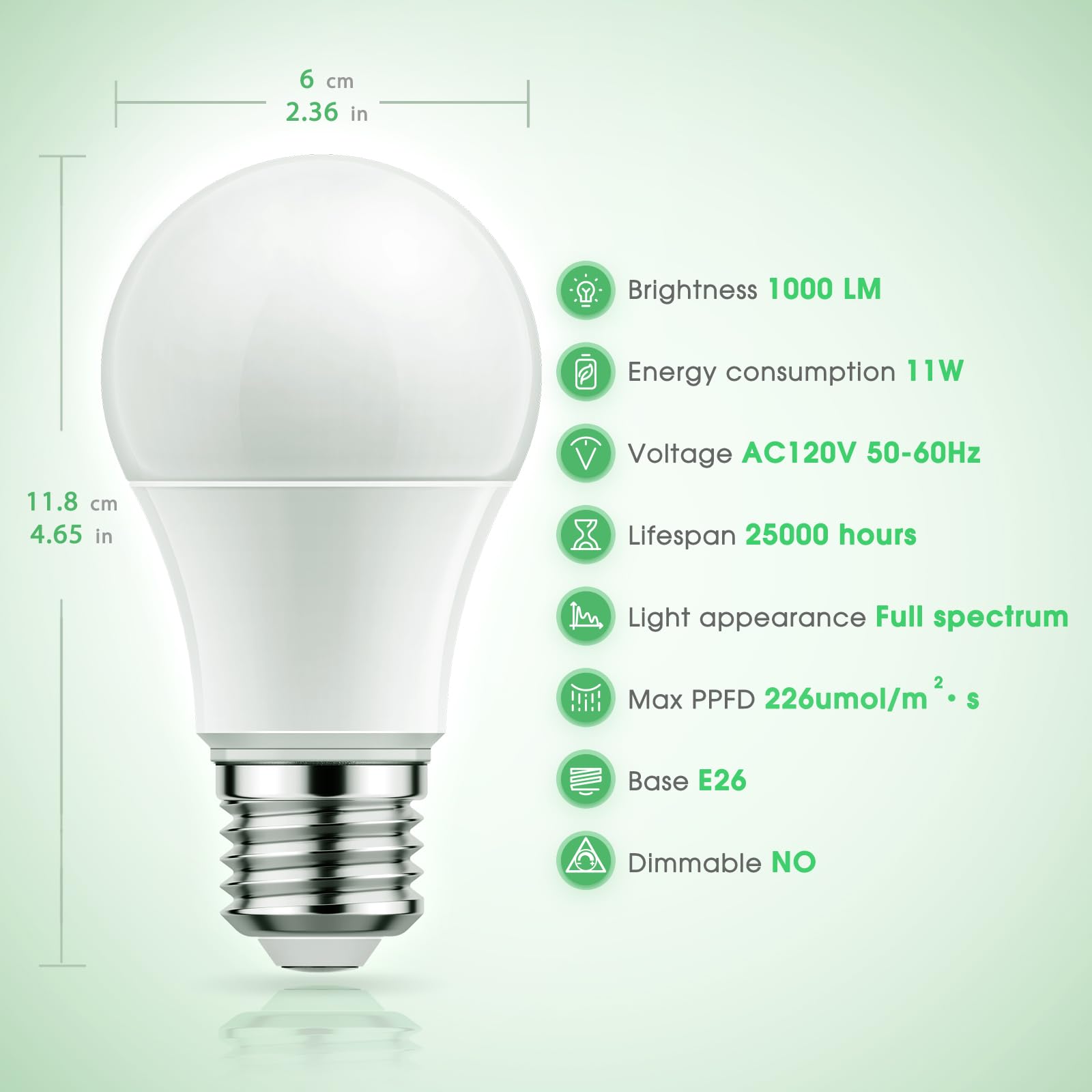 Briignite easy-install E26 base fits most fixtures for quick setup.