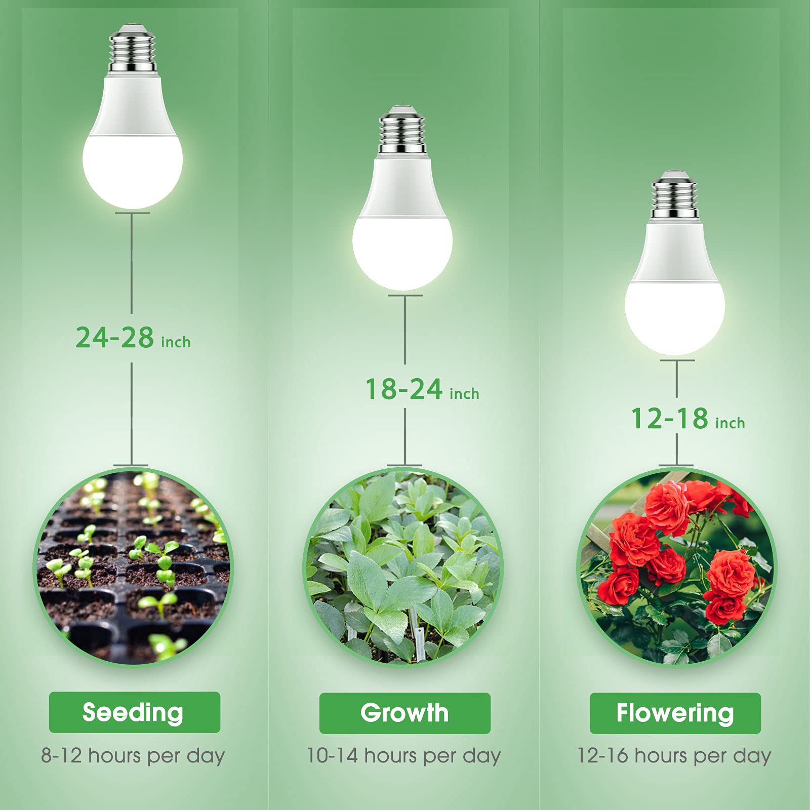 Briignite energy-saving 11W bulb offers 100W-equivalent brightness.