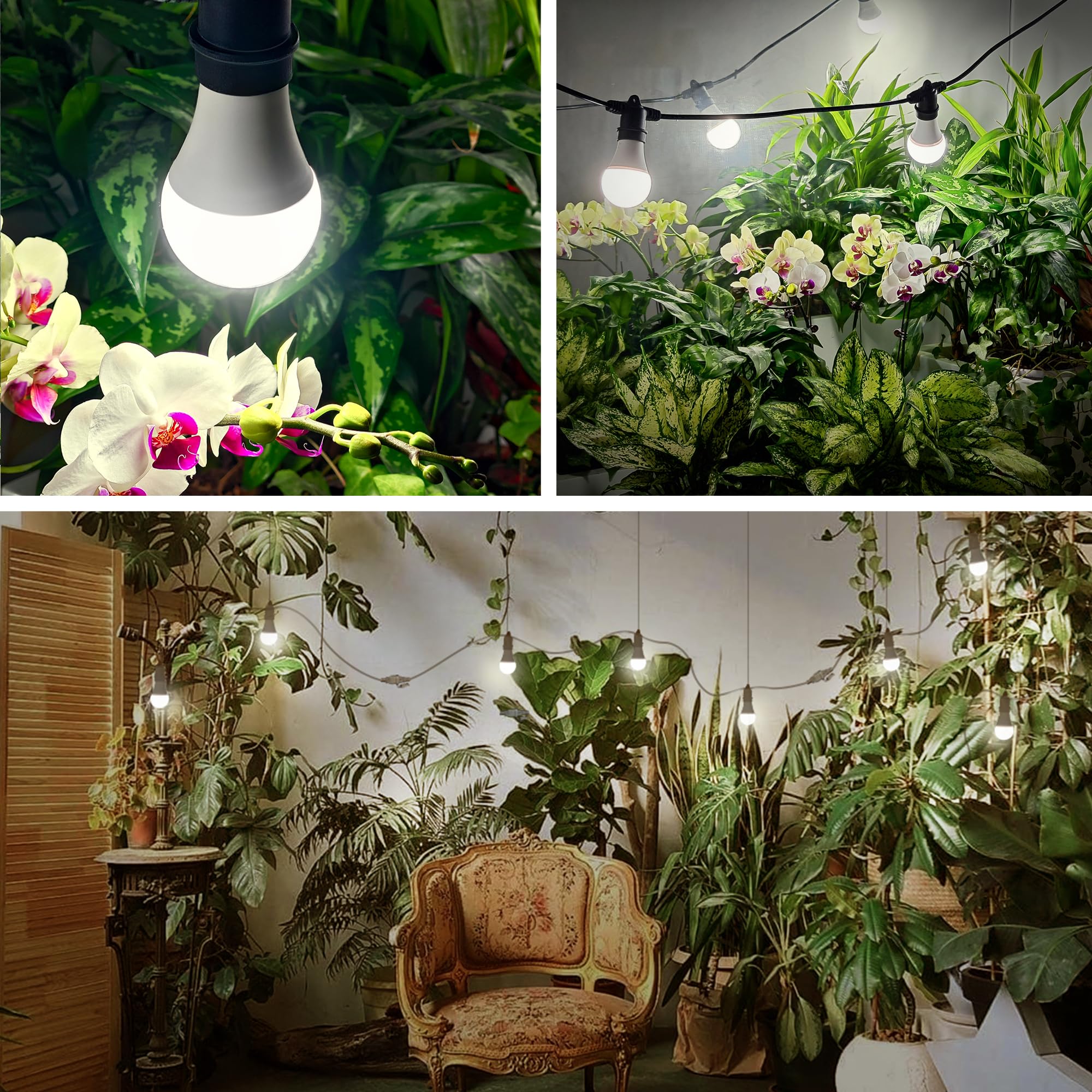 Briignite full-spectrum LED at 5000K supports seed to fruit growth