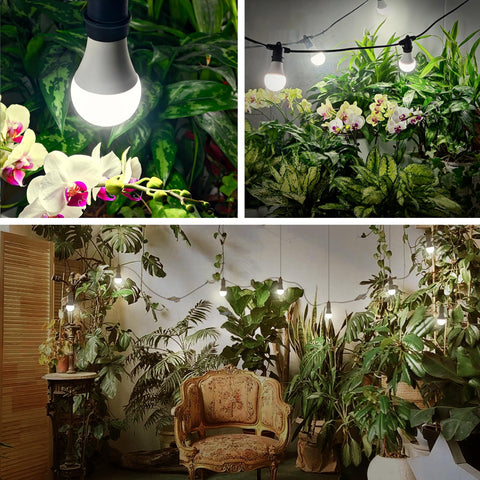 Briignite full-spectrum LED at 5000K supports seed to fruit growth