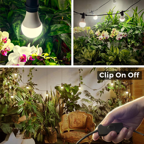 Briignite full-spectrum LED grow light at 4000K for healthy plant growth.