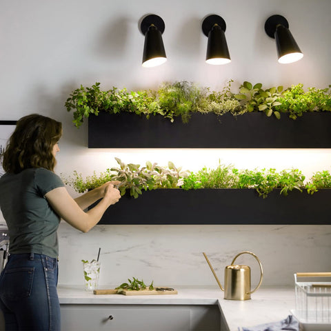 Briignite indoor garden lighting offers natural color that blends with décor