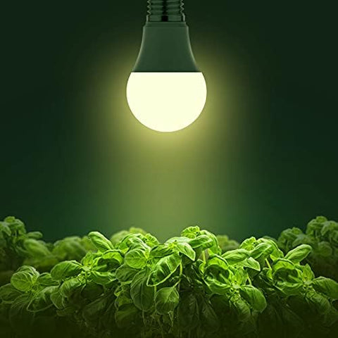 Briignite natural 4000K light blends seamlessly with home decor.