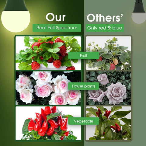 Briignite PPF 25 μmol/s bulb enhances photosynthesis for seedlings