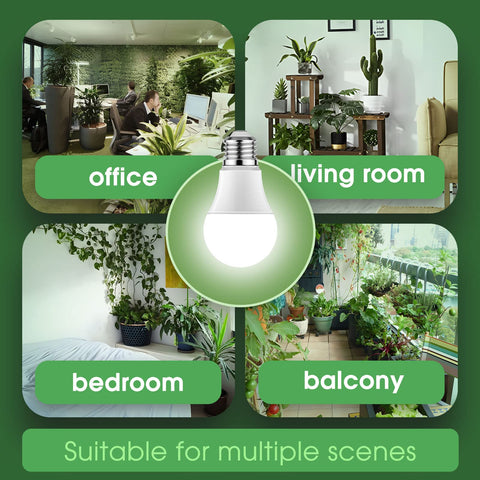 Briignite six-pack full-spectrum bulbs ideal for seed starting and year-round growing.