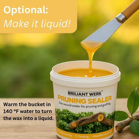 Briliantwerk Fruit tree grafting sealer applied to a graft site on a fruit tree