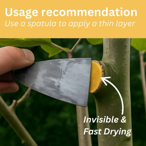 Briliantwerk Tree Wound Sealer forms a protective bark coating after pruning