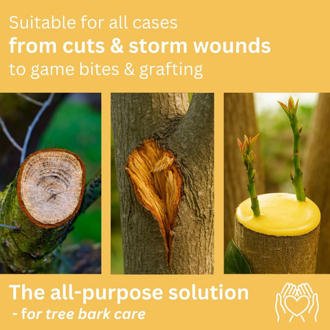 Briliantwerk Weather-resistant sealer drying on tree bark after application