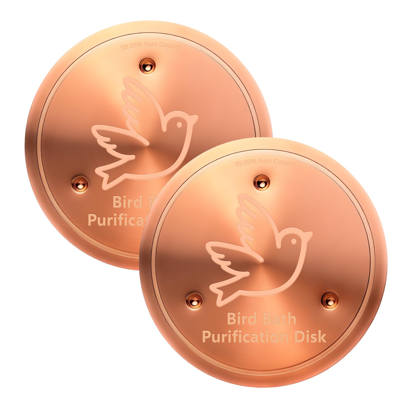 BrillaraSymm birdbath copper disk in action purifies outdoor water