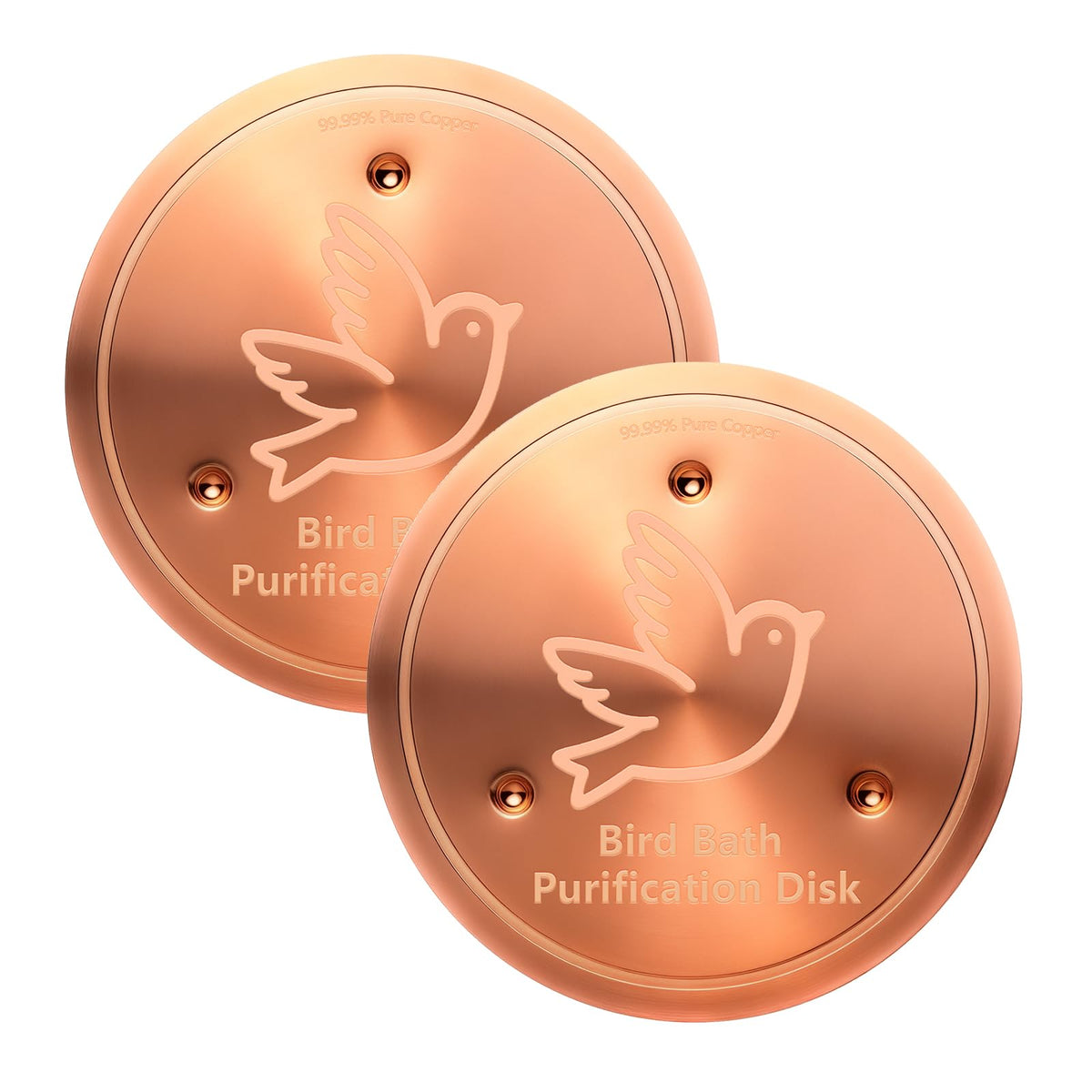 BrillaraSymm birdbath copper disk in action purifies outdoor water