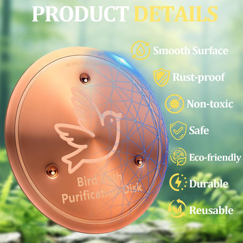 BrillaraSymm birdbath disk triple-point support provides stable placement on bowls
