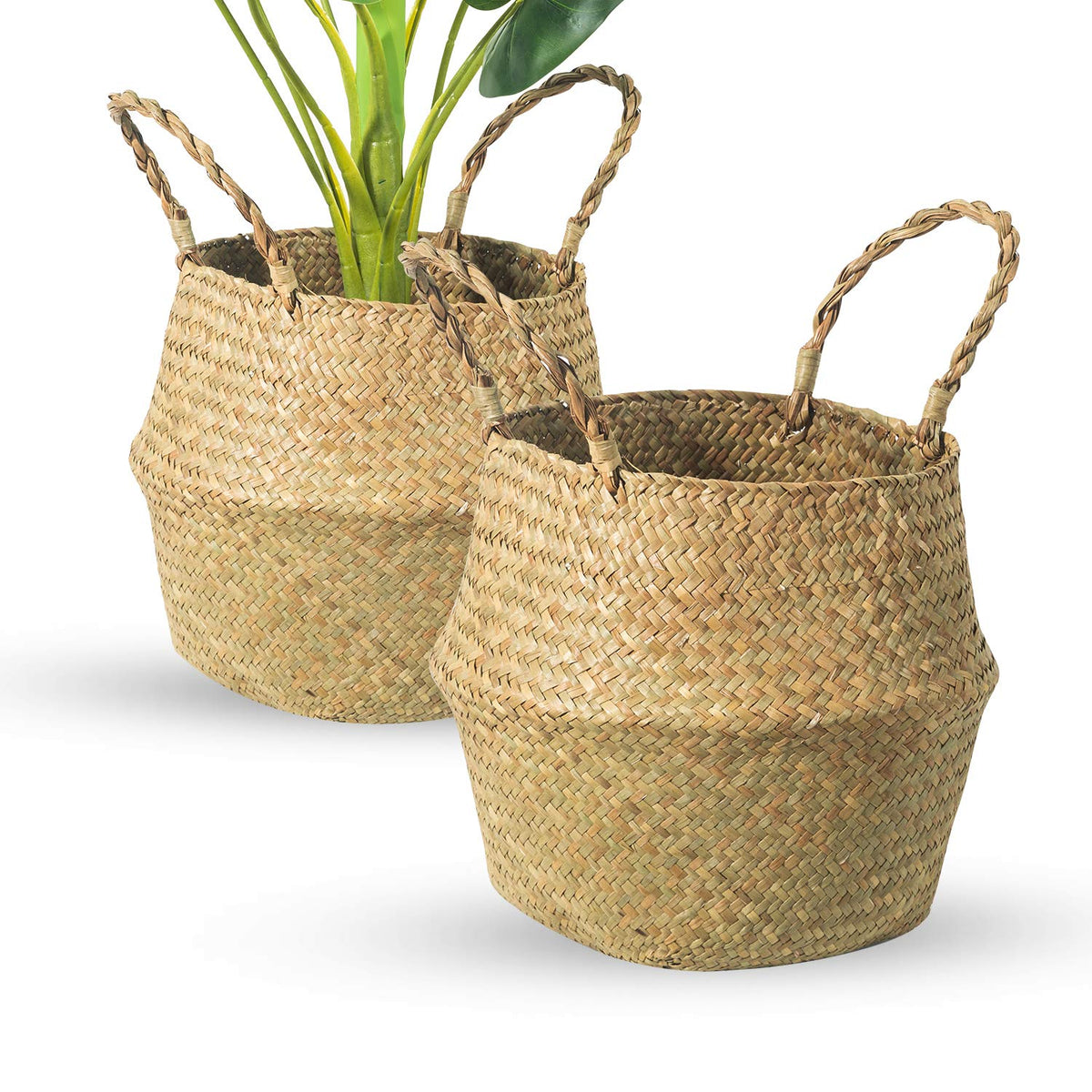 BrilliantJo Seagrass Belly Basket top opening 24cm for plant display