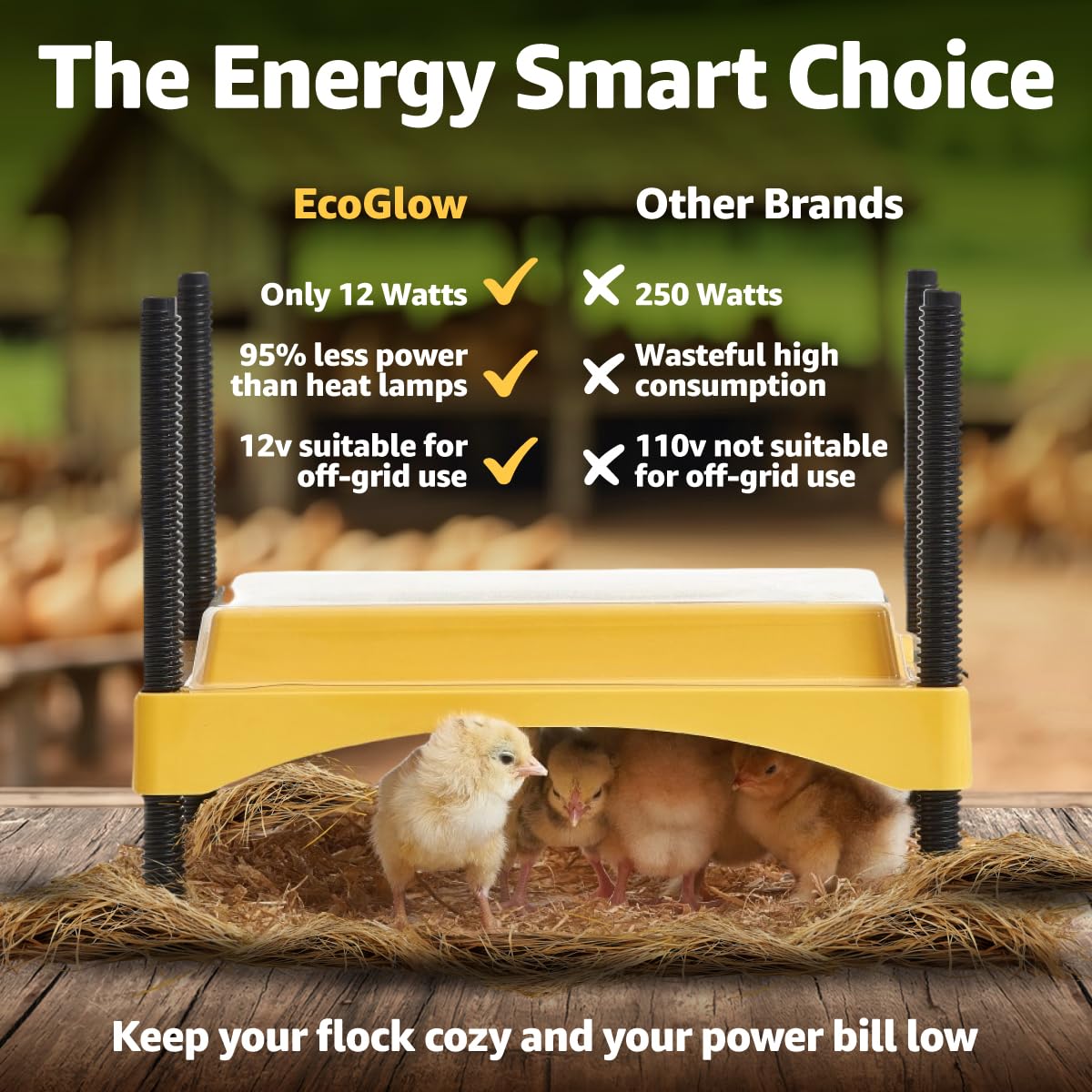 Brinsea Ecoglow 10-foot cord enables flexible placement.