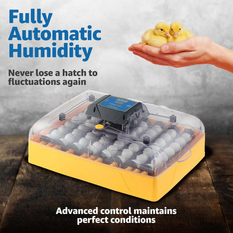 Automatic turning feature keeps embryos evenly developed in Brinsea Ovation 56 EX.