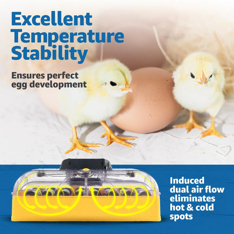 External water reservoir reduces refilling frequency for continuous incubation.