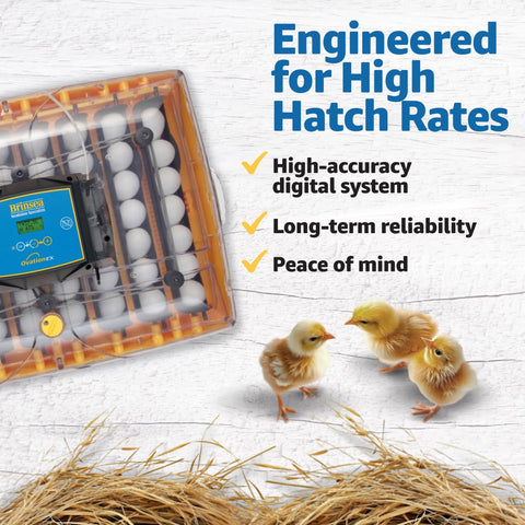 Ovation 56 EX humidity control maintains stable moisture for reliable hatching.