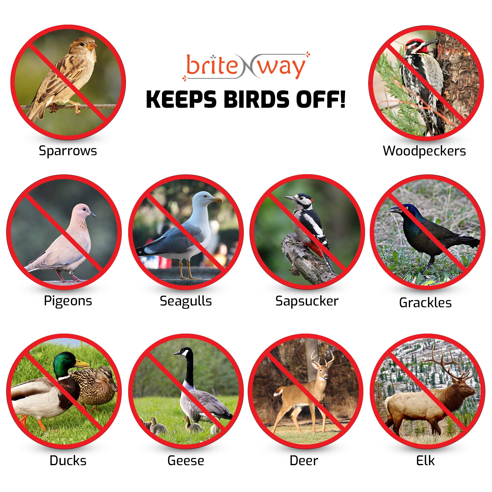 BRITENWAY eco-friendly reflective tape installed on roof to deter birds