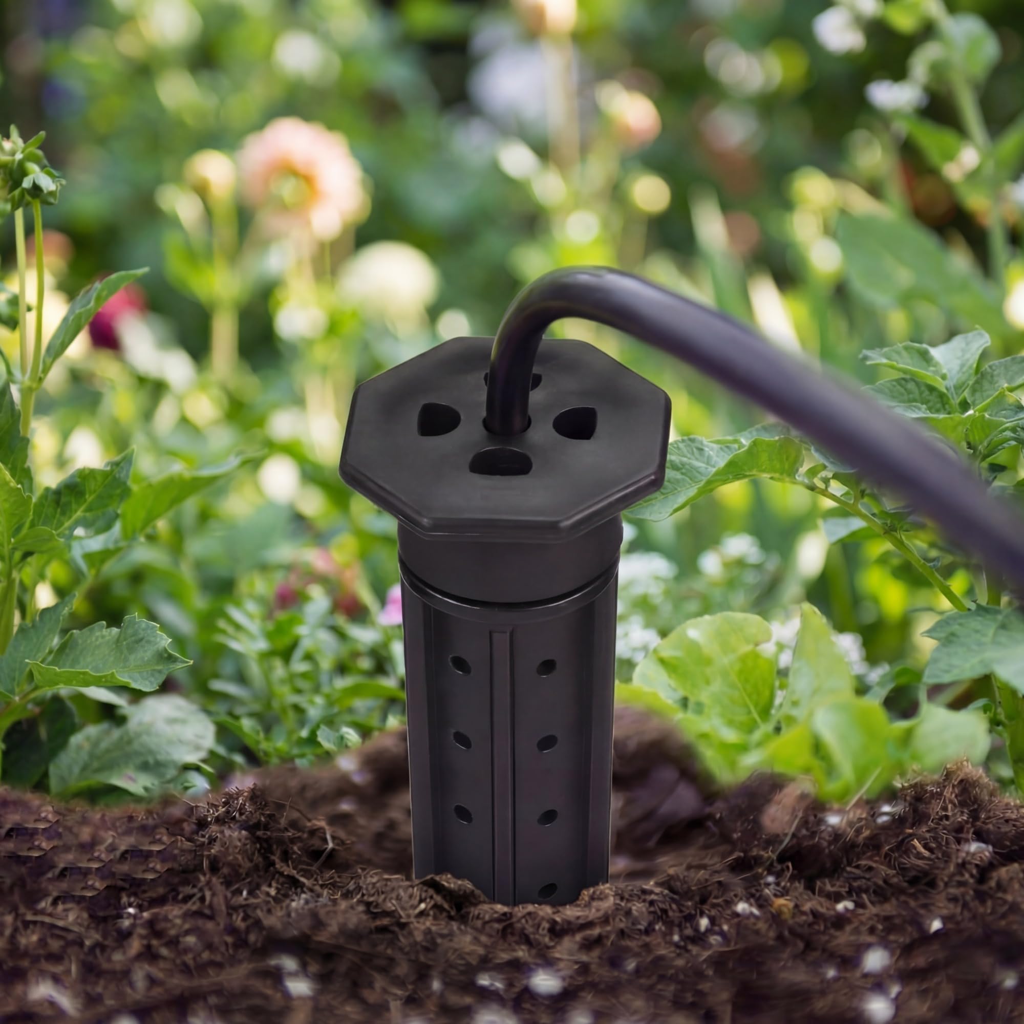 Briwooody stake with drip system compatibility for automatic irrigation
