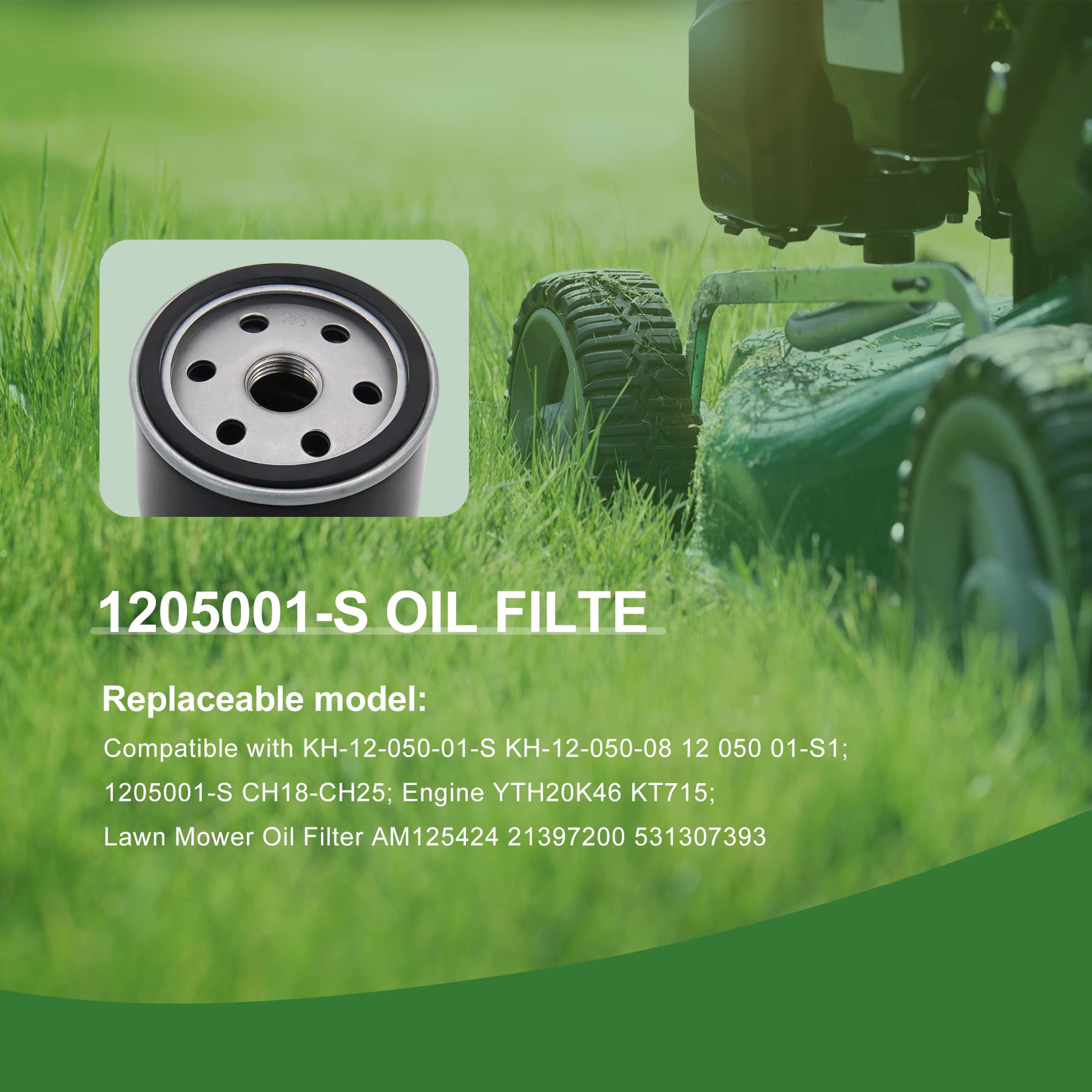 Brlyeeanze packaging image highlights two filters ready for replacement