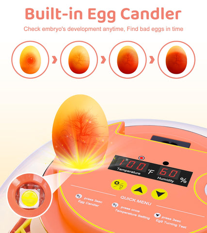 Brnvl incubator with 360° view supports easy monitoring by families and teachers