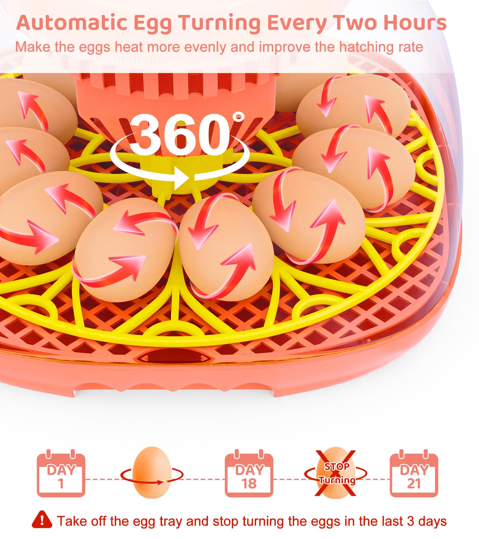 Brnvl 12-egg incubator automatic turning mimics hen behavior for potential hatch consistency