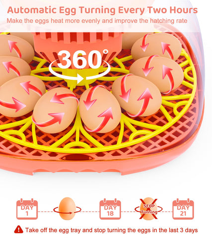 Brnvl 12-egg incubator automatic turning mimics hen behavior for potential hatch consistency