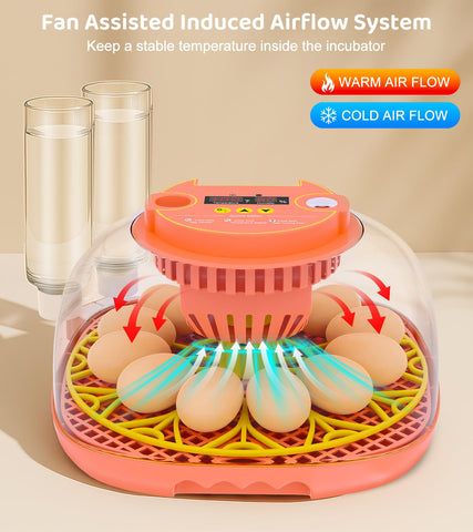 Brnvl incubator external water fill enables stable humidity during the entire cycle