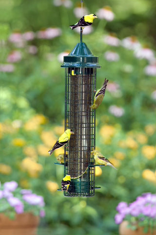Brome 32-inch tall feeder increases visibility and seed capacity for birds.