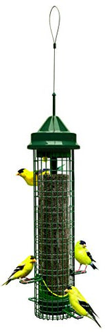 Brome Nyjer ports allow perching and clinging for versatile feeding.